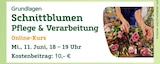 Aktuelles Schnittblumen Pflege & Verarbeitung Online-Kurs Angebot bei Pflanzen Kölle in München ab 10,00 €