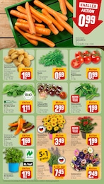 Spinat Angebot & Preis im aktuellen REWE Prospekt Spinat Angebot im aktuellen REWE Prospekt auf Seite 7