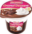 EDEKA - Grand Dessert Angebot im Prospekt Grand Dessert bei EDEKA im Prospekt "" für 0,49 €