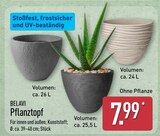 Pflanztopf Angebote von Belavi bei ALDI Nord Hoyerswerda für 7,99 €