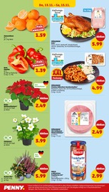 Aktueller Penny Prospekt mit Ente, "Wer günstig will, muss Penny.", Seite 34