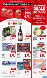 Cola im nah&frisch Prospekt in Hagen Aktueller nah&frisch Prospekt mit Cola, "DER MARKT FÜR GUTES ESSEN UND TRINKEN", Seite 4