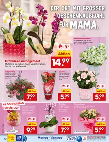 Blumen im Netto Marken-Discount Prospekt "Aktuelle Angebote" mit 75 Seiten (Essen)
