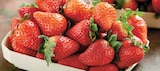 Promo Fraise Ronde à 2,99 € dans le catalogue Intermarché Super à Donnemarie-Dontilly