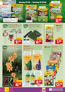 Blumenerde im aktuellen Netto Marken-Discount Prospekt (Heidelberg) Blumenerde im Netto Marken-Discount Prospekt "Aktuelle Angebote" mit 71 Seiten (Heidelberg)