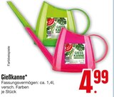 Gießkanne Angebote bei EDEKA Ravensburg für 4,99 €