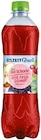 REWE Breisach - Bio Schorle Apfel-Kirsch-Holunder Angebot im Prospekt Bio Schorle Apfel-Kirsch-Holunder bei REWE im Breisach Prospekt für 0,69 €