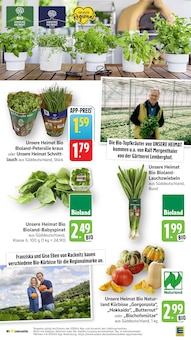 Gemüse im aktuellen EDEKA Prospekt (Frankfurt (Main)) Gemüse im EDEKA Prospekt "Aktuelle Angebote" mit 44 Seiten (Frankfurt (Main))