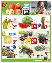 Pflanzen im aktuellen EDEKA Prospekt (Augsburg) Pflanzen im EDEKA Prospekt "Wir lieben Lebensmittel." mit 26 Seiten (Augsburg)