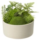 Topfpflanze, künstlich Moos von FEJKA im aktuellen IKEA Prospekt für 7,99 €