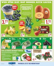 Aktueller Marktkauf Prospekt