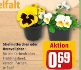 Stiefmütterchen oder Hornveilchen Angebote bei REWE Bergisch Gladbach für 0,69 €