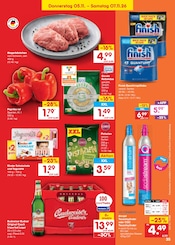 Sodastream im Netto Marken-Discount Prospekt in Dresden Aktueller Netto Marken-Discount Prospekt mit Sodastream, "Aktuelle Angebote", Seite 51