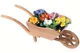 Aktuelle Sackkarre Angebote bei Wreesmann in Cottbus Aktuelles HOLZ-PFLANZSCHUBKARRE Angebot bei Wreesmann in Cottbus ab 24,99 €