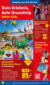 LEGO im Lidl Prospekt in Lehrte Aktueller Lidl Prospekt mit LEGO, "LIDL LOHNT SICH", Seite 62