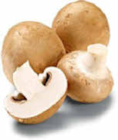 Champignon braun Angebote bei Netto Marken-Discount Hildesheim für 1,49 €