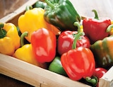 Intermarché Express Rillieux-la-Pape - Promo Poivron Tricolore Promo Poivron Tricolore à 1,28 € dans le catalogue Intermarché Express à Rillieux-la-Pape