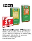 Blumenerde Universal Angebote von Prima bei bauSpezi Erlangen für 3,99 €