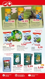 Ähnliche Kinder-Werkzeugkasten Angebote im Prospekt "HIER GIBT`S TIERBEDARF UND ZUBEHÖR" von Zookauf Ähnliches Angebot bei Zookauf in Prospekt "HIER GIBT`S TIERBEDARF UND ZUBEHÖR" gefunden auf Seite 14