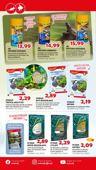 Fisch im Zookauf Prospekt "HIER GIBT`S TIERBEDARF UND ZUBEHÖR" mit 16 Seiten (Hannover)