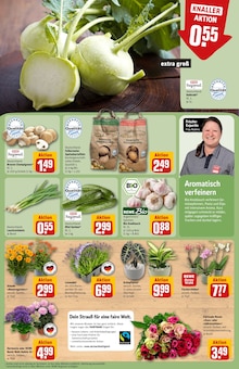 Blumen im REWE Prospekt "Dein Markt" mit 32 Seiten (Augsburg)