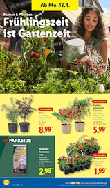 Gartenerde im Lidl Prospekt in Freital Aktueller Lidl Prospekt mit Gartenerde, "LIDL LOHNT SICH", Seite 68