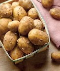Pomme de terre primeur - Intermarché à Charleville-Mézières Pomme de terre primeur en promo chez Intermarché Charleville-Mézières à 3,39 €