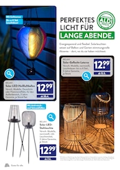 Solarlampe im ALDI SÜD Prospekt in Lörrach Aktueller ALDI SÜD Prospekt mit Solarlampe, "DEINE GRÜNE WOHLFÜHLOASE ZUM ORIGINAL ALDI PREIS", Seite 14