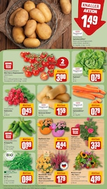 Blumen im REWE Prospekt in Leverkusen Aktueller REWE Prospekt mit Blumen, "Dein Markt", Seite 9