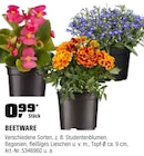 Beetware bei OBI im Prospekt "" für 0,99 €