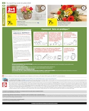 Plante Verte Angebote im Prospekt "LE TOP CHRONO DES PROMOS" von Carrefour auf Seite 44