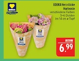 Hortensie im Angebot bei Marktkauf in Plauen Hortensie Angebote von EDEKA Herzstücke bei Marktkauf Plauen für 6,99 €
