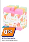 Kühlelemente im Angebot bei Action in Villingen-Schwenningen Kühlelemente Angebote bei Action Villingen-Schwenningen für 0,52 €