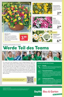 Balkonpflanzen im BayWa Bau- und Gartenmärkte Prospekt "Hier bin ich gern" mit 16 Seiten (Frankfurt (Main))
