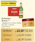 Budvar Angebote von Budweiser bei Metro Salzgitter für 15,93 €