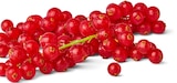 Deutsche Johannisbeeren bei Penny im Vogt Prospekt für 3,99 €