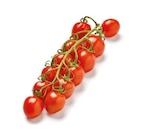 Mini-Pflaumen-Rispentomaten  im aktuellen Netto mit dem Scottie Prospekt für 1,69 €