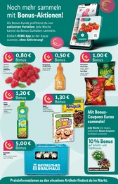 REWE Bier im Prospekt REWE Bier im Prospekt