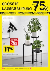 Ähnliche Blumentreppe Angebote im Prospekt "GRÖSSTE LAGERRÄUMUNG" von XXXLutz Möbelhäuser Ähnliches Angebot bei XXXLutz Möbelhäuser in Prospekt "GRÖSSTE LAGERRÄUMUNG" gefunden auf Seite 16