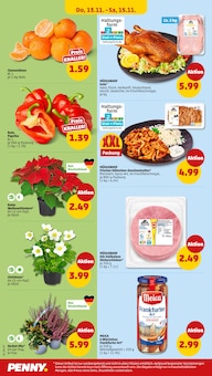 Gemüse im Penny Prospekt "Wer günstig will, muss Penny." mit 41 Seiten (Pforzheim)