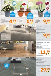 Ähnliche Blaukissen Angebote im Prospekt "Immer eine Idee besser" von Globus-Baumarkt Ähnliches Angebot bei Globus-Baumarkt in Prospekt "Immer eine Idee besser" gefunden auf Seite 4