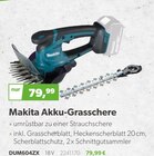 Aktuelles Akku-Grasschere Angebot bei Raiffeisen Waren GmbH in Erfurt ab 79,99 €