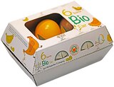 Bunte Bio Eier Angebote von Westerwald, Bio bei REWE Rodgau für 2,49 €