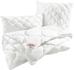Kopfkissen im Angebot bei REWE in Braunschweig Kopfkissen Angebote von Schlaf-Gut bei REWE Braunschweig für 14,99 €