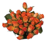 Chrysanthemenbusch Angebote bei EDEKA Neubrandenburg für 5,99 €