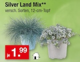 Silver Land Mix für 1,99 € bei Zimmermann im Angebot Silver Land Mix im aktuellen Zimmermann Prospekt