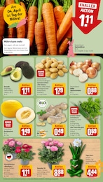 Ingwer Angebot & Preis im aktuellen REWE Prospekt Ingwer Angebot im aktuellen REWE Prospekt auf Seite 11