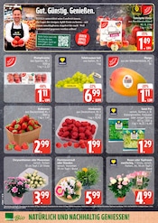 Gemüse im EDEKA Prospekt in Neumünster Aktueller EDEKA Prospekt mit Gemüse, "Top Angebote", Seite 6