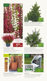 Mantel Angebote im Prospekt "WINTERZAUBER ERLEBEN" von Pflanzen Kölle auf Seite 10