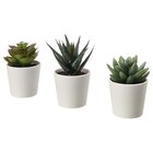Topfpflanze, künstlich/mit Topf drinnen/draußen Sukkulente im Angebot bei IKEA in Aschaffenburg Topfpflanze, künstlich/mit Topf drinnen/draußen Sukkulente Angebote von FEJKA bei IKEA Aschaffenburg für 2,99 €